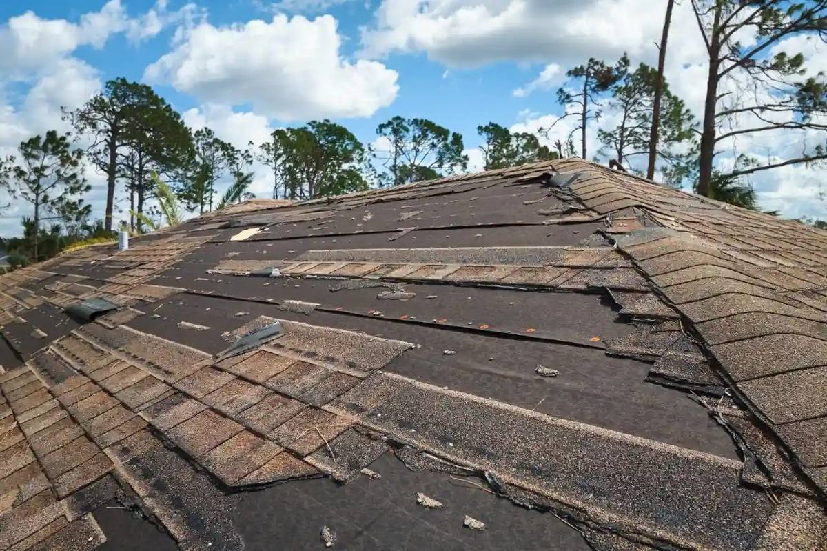 Storm damaged shingle roof showing impact bruising and lifted tabs